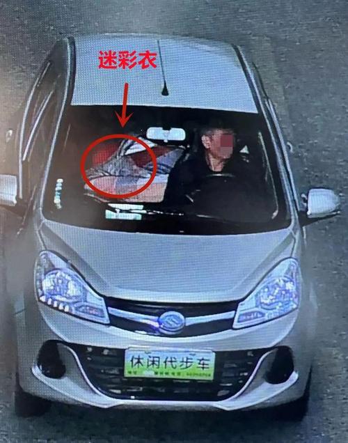 戴人皮面具入室盗窃,