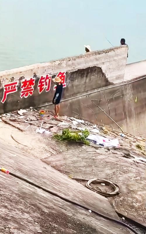保护区里的疯狂垂钓,央视曝光保护区里的疯狂垂钓