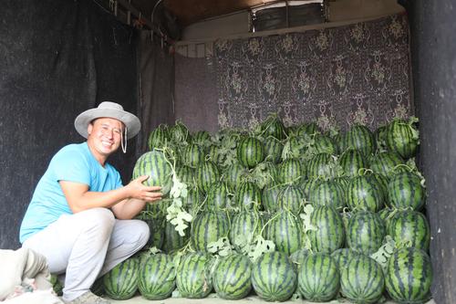 把西瓜扔鱼塘喂鱼,把西瓜扔鱼塘喂鱼好吗